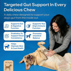 PetOptimum prébiotiques chien — fibres soutenant la flore intestinale et la digestion.