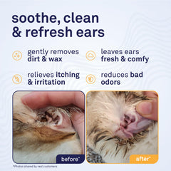Petpost lingettes oreilles chat à huile de coco, nettoyage doux