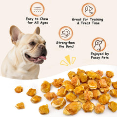 Chien recevant une friandise PETPURO comme récompense d'entraînement.