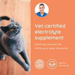Petralyte, taurine pour muscles et yeux sains chez le chat