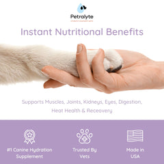 Petralyte sachets saveurs poulet chien – hydratation agréable après activité.