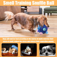 Petration Balle Snuffle bandes durables pour sessions prolongées.