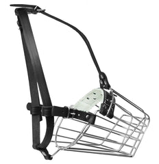 PetriStor cage en acier renforcé, adaptée aux grands chiens pour sécurité.
