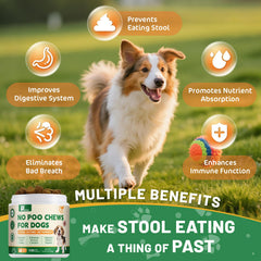 Gommes goût poulet Petrivium No Poo Chews pour chiens.