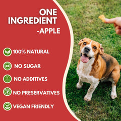 Pets Gone Wild – ingrédient unique pomme, option vegan.
