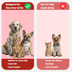 Poils ultra-doux Pets & Pupps respectant les gencives sensibles.