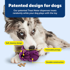 PetSafe Barnacle, nettoyage-lave-vaisselle: nettoyage facile après des sessions intenses