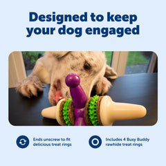 PetSafe Busy Buddy Jack - anneaux friandise - récompense les sessions de jeu.