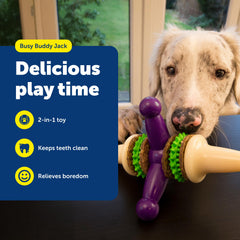 Jack de PetSafe avec anneaux de friandises remplaçables pour prolonger le jeu.