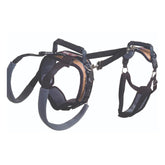 Harnais PetSafe CareLift offrant un soutien corporel complet pour chiens en mobilité réduite.