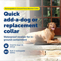 PetSafe collier rechargeable etanche, prêt pour les activités en plein air.