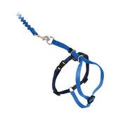 Harnais PetSafe Come With Me pour chat bleu royal, confortable et sûr