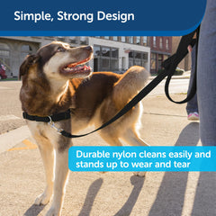 Laisse PetSafe compatible harnais Easy Walk et collier Gentle Leader.
