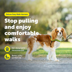 PetSafe Deluxe Easy Walk boucle-martingale : anti-tirage sans pression sur le cou.