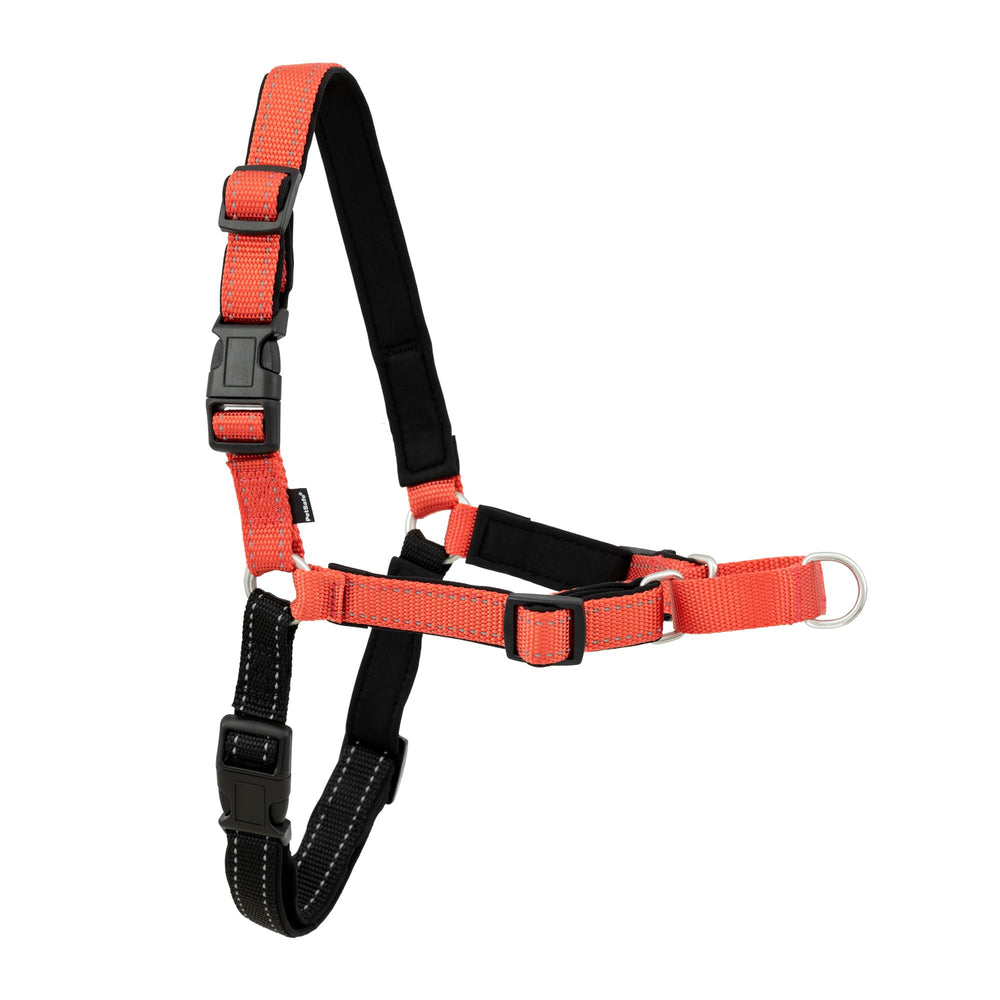 PetSafe Deluxe Easy Walk — vue avant rose, harnais confortable pour balades sans traction