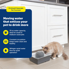 PetSafe Drinkwell fontaine en céramique gris, pompe submersible et débit silencieux.