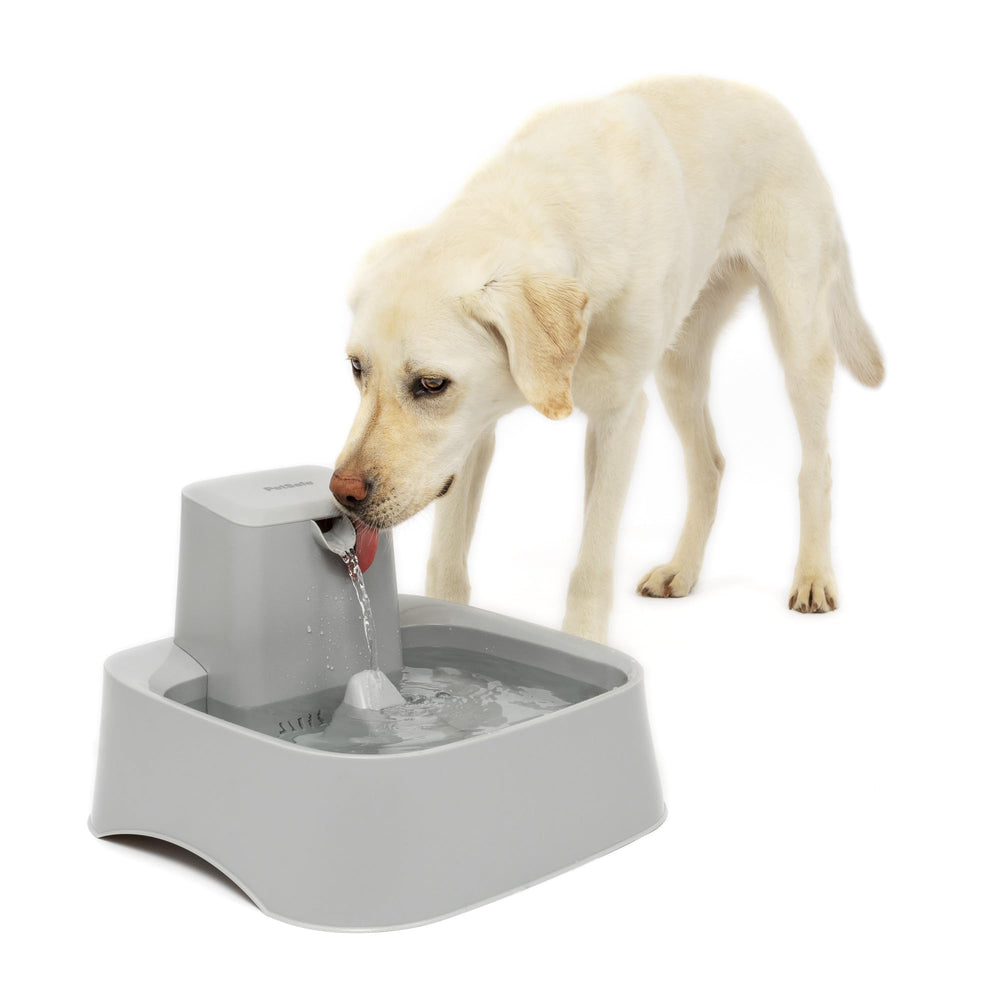 PetSafe Drinkwell fontaine d’eau 2 gallons pour plusieurs animaux.