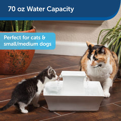 PetSafe Drinkwell Pagoda double jets, encourage l’hydratation continue