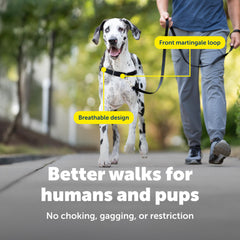 PetSafe Easy Walk attache-devant-poitrine, guidage naturel pendant les promenades.