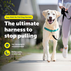 Attache avant PetSafe Easy Walk facilitant la direction lors des promenades