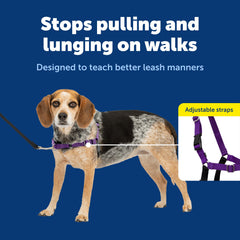 Harnais PetSafe Easy Walk – attache avant pour guider naturellement