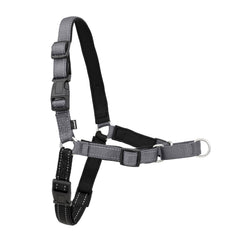 Harnais PetSafe Easy Walk Deluxe avec attache devant limitant le tirage lors des promenades.