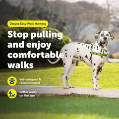 Conception veterinaire du harnais PetSafe Easy Walk Deluxe.