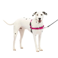 PetSafe Easy Walk harnais avant, attache frontale pour guider sans tirage