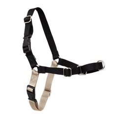 Harnais PetSafe Easy Walk pour chien, vue avant, aide à limiter les tirages.