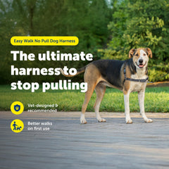PetSafe Easy Walk harnais chien dos, design léger pour la liberté de mouvement.