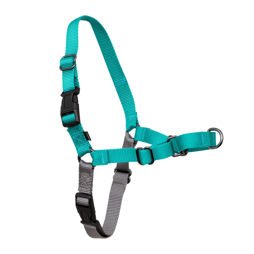Harnais PetSafe Easy Walk sur poitrine, réduit le tirage en douceur