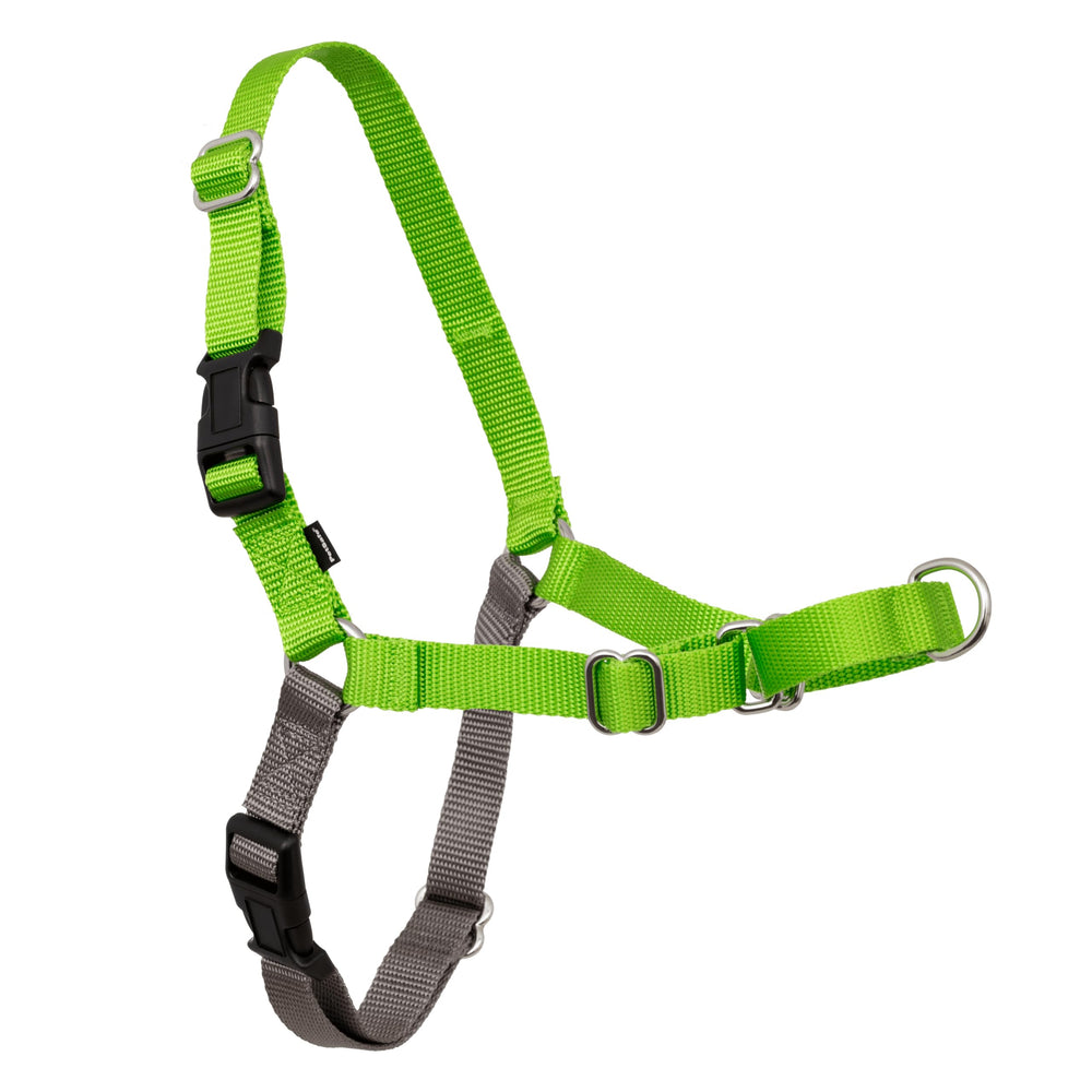 Harnais PetSafe Easy Walk sur l’avant offrant un contrôle amélioré lors des promenades.