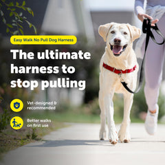 Boucle martingale avant PetSafe Easy Walk guidant sans effort.