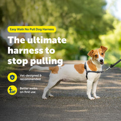 Harnais PetSafe Easy Walk, attache-devant, aide à diriger sans tirer.