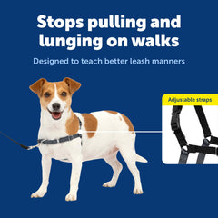 Harnais PetSafe Easy Walk, boucle martingale frontale, applique une pression douce et progressive.