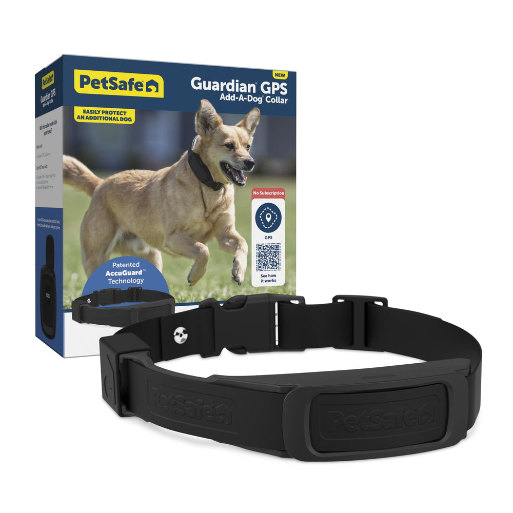 Collier Add-A-Dog Petsafe Guardian GPS en vue extérieure, surveillance fiable.