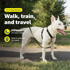 Harnais PetSafe avec boucle martingale pour réduire la traction lors de l’entraînement.