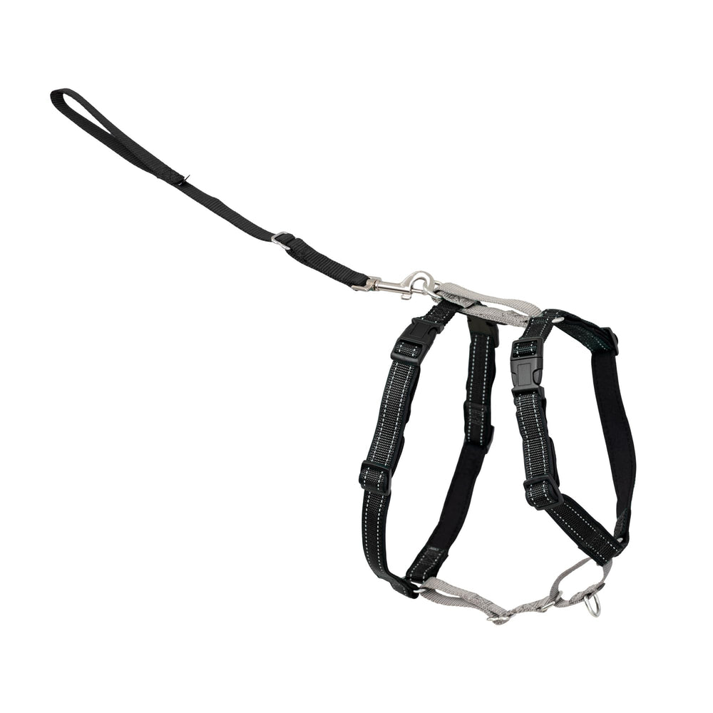 Harnais PetSafe 3-en-1: confort pour les promenades quotidiennes et entraînements.
