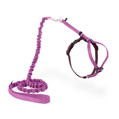 Harnais PetSafe pour chat Accompagne-moi Rose Poussière, confort et sécurité.
