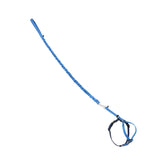 Harnais PetSafe pour chat avec laisse élastique bleu royal, confort visuel lors d'une promenade.