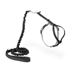 Harnais PetSafe Come With Me pour chat, ensemble sûr et confortable pour l'extérieur.