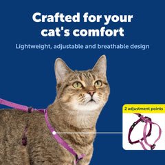 Harnais PetSafe nylon durable et respirant pour un port agréable.
