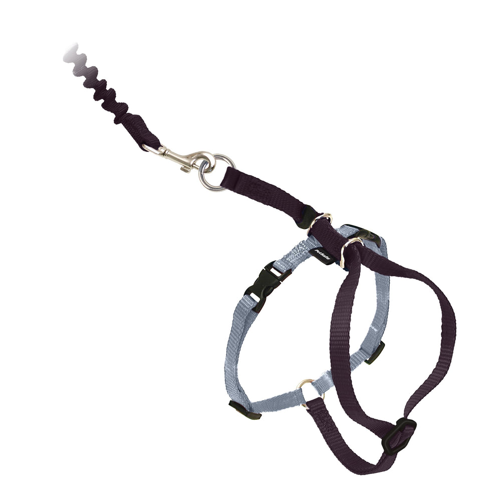Harnais Petsafe pour chat en sortie, contrôle doux et confortable.
