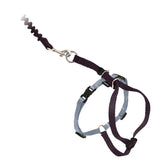 Harnais Petsafe pour chat en sortie, contrôle doux et confortable.