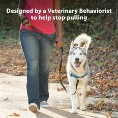 Bandes néoprène rembourrées du harnais PetSafe Easy Walk Deluxe.
