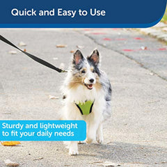 Laisse PetSafe en nylon solide et confortable lors des sorties prolongées.