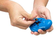 PetSafe lave-vaisselle haut-rang: nettoyage rapide et pratique après utilisation