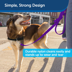 PetSafe Longe Nylon – attache en métal nickelé pour une connexion fiable.