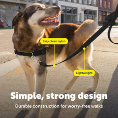 Nylon durable PetSafe en gros plan, résistance et légèreté