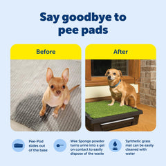 Poudre Wee Sponge absorbante du Pet Loo, contrôle rapide des liquides